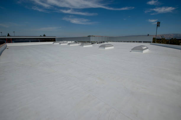Best Metal Roofing Installation  in Howard City, MI