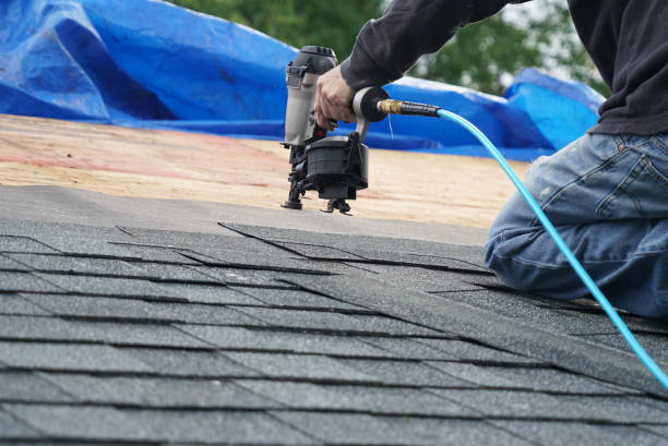 Best Roof Insulation Installation  in Howard City, MI