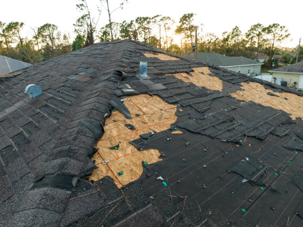 Best Rubber Roofing (EPDM, TPO)  in Howard City, MI