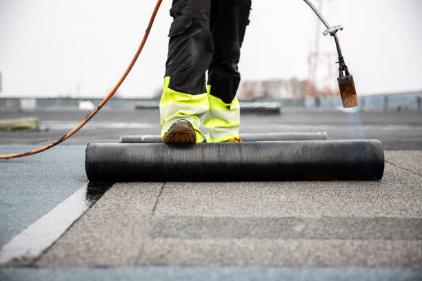 Best Asphalt Shingles Roofing  in Howard City, MI