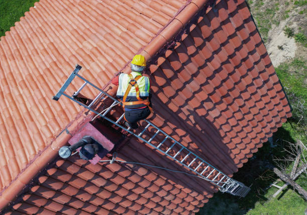 Best Roof Leak Repair  in Howard City, MI
